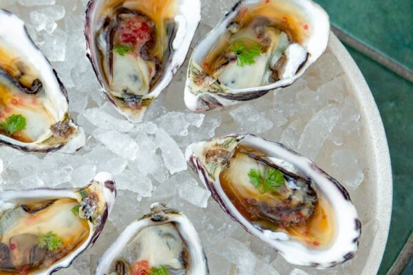 stanley_sunset-sips-0293