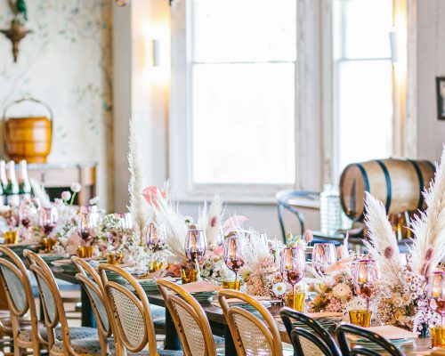 457622804_898478062310240_1229605431421153557_n